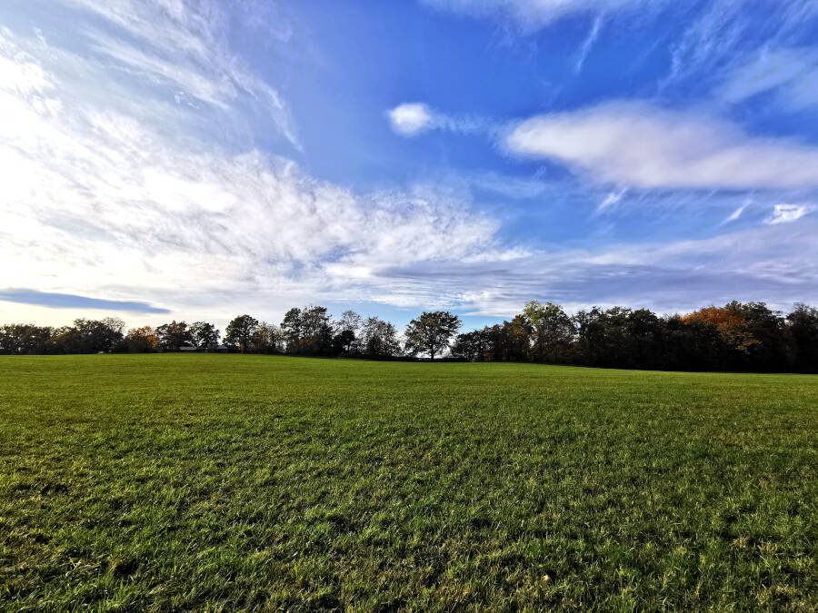 Rappenhof