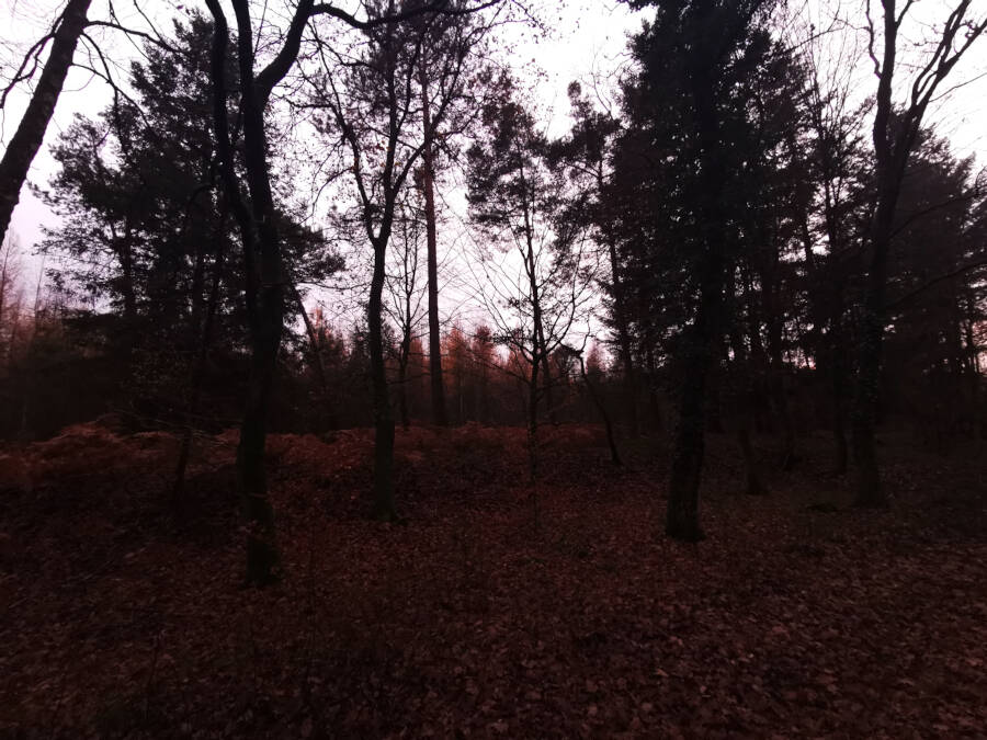 Niederrœdern