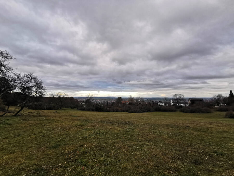gerlinger Heide