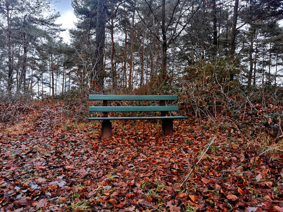 gerlinger Heide