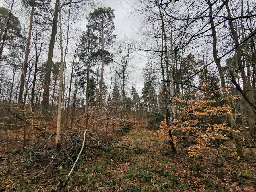 Wildpark Stuttgart