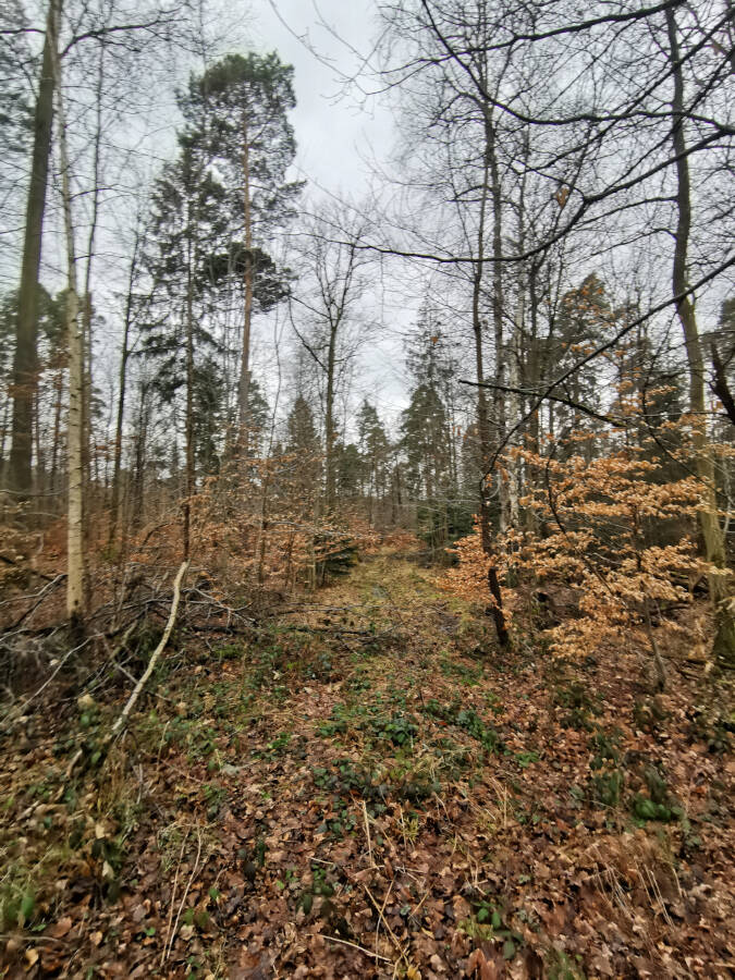 Wildpark Stuttgart