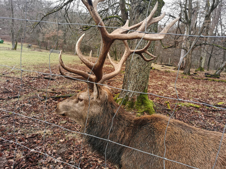 Wildpark Stuttgart