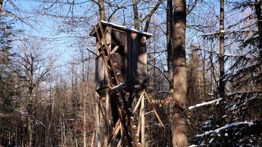 Winterwald