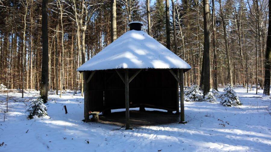 Winterwald