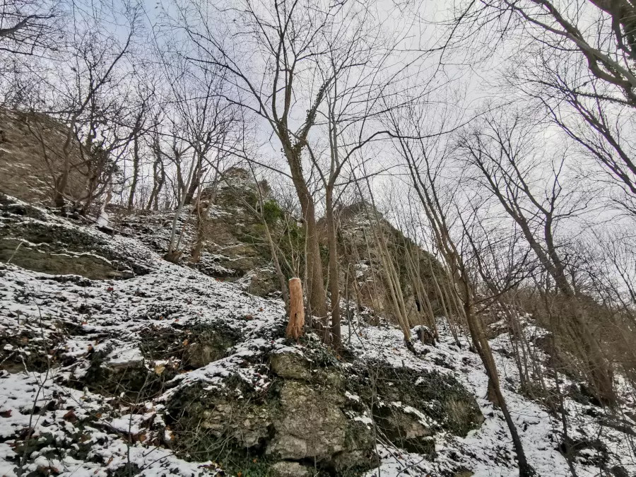 Burg Teck