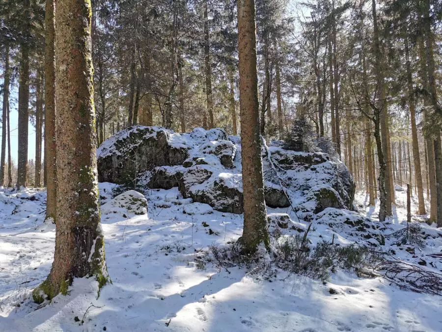 Hochfeld im Elsass