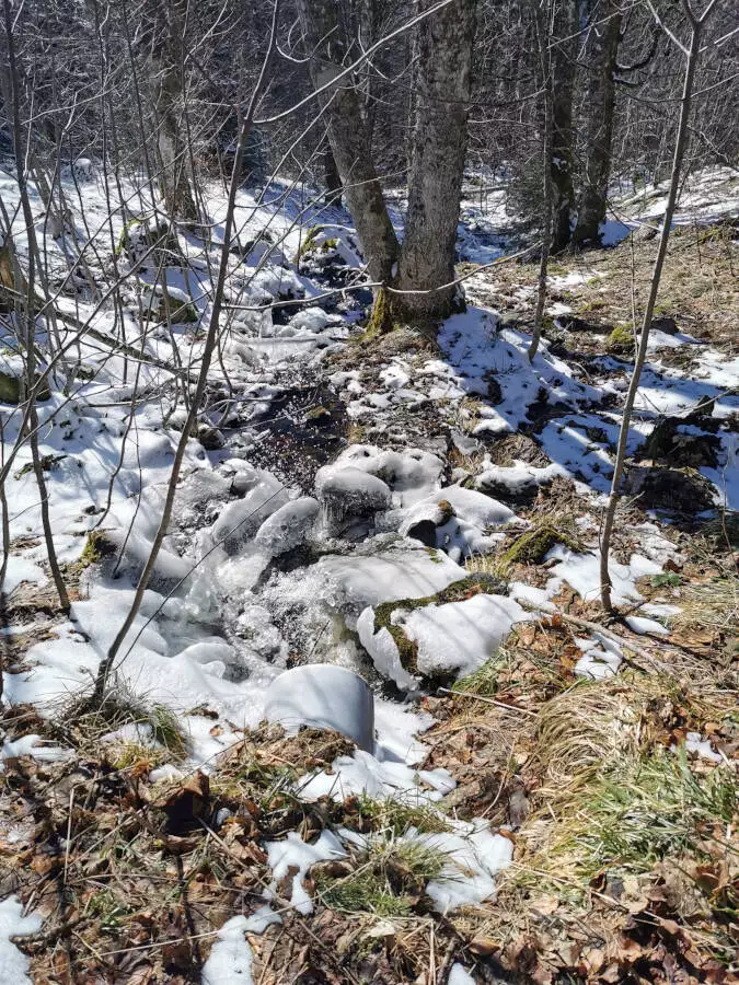 Hochfeld im Elsass