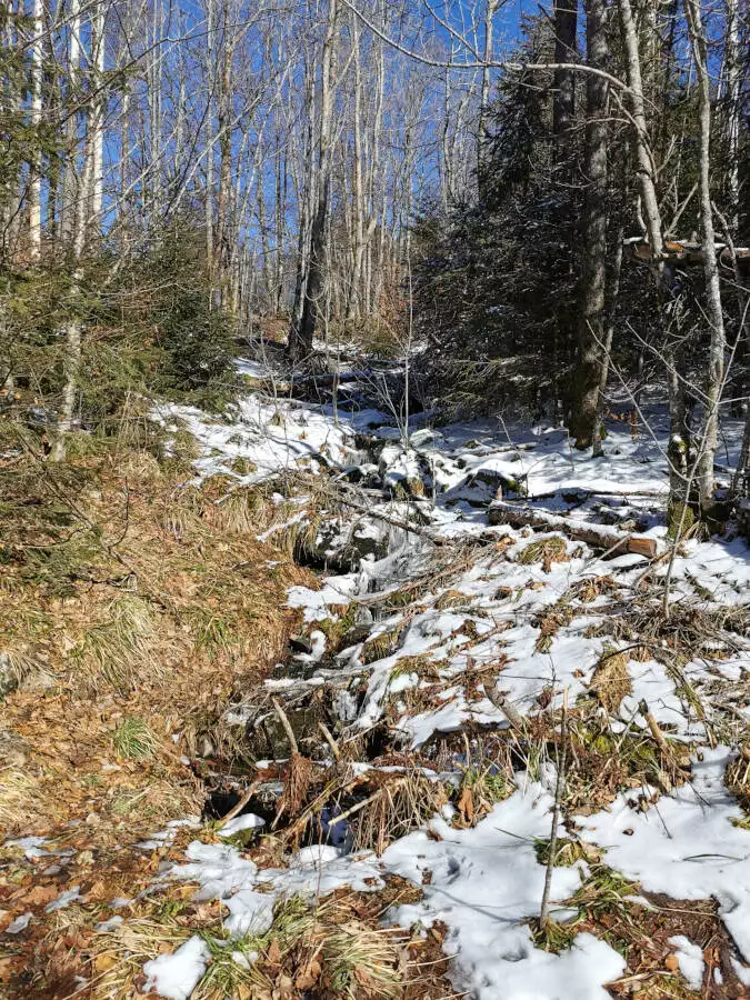 Hochfeld im Elsass