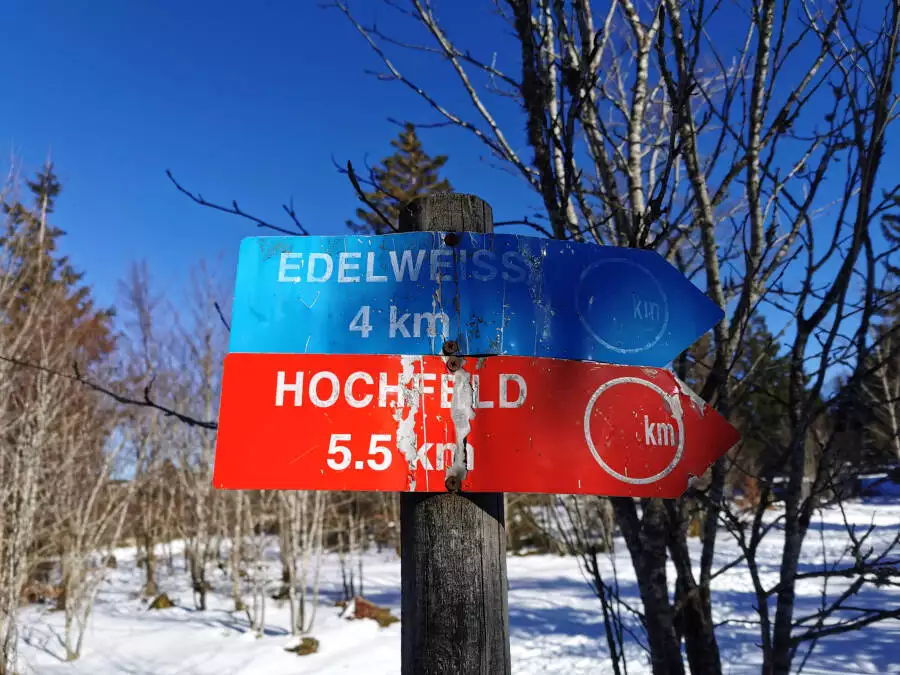 Hochfeld im Elsass