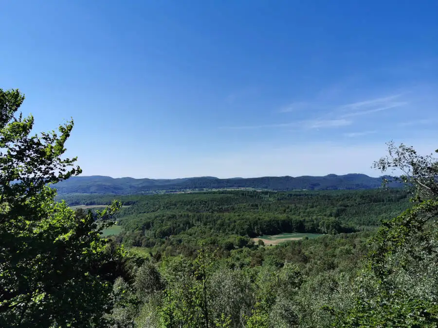 Baumwipfelpfad