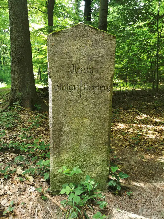 Waldspaziergang