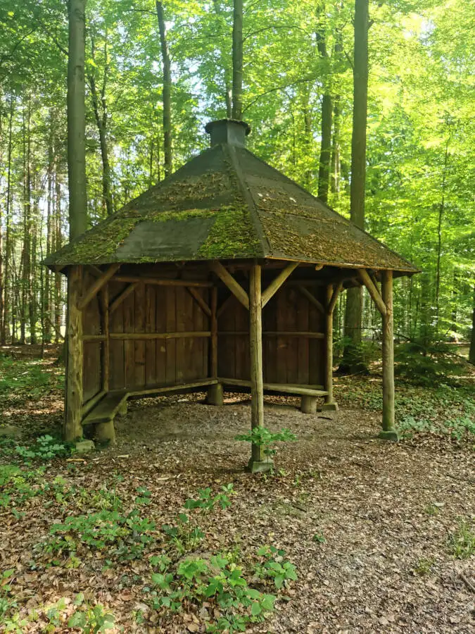 Waldspaziergang