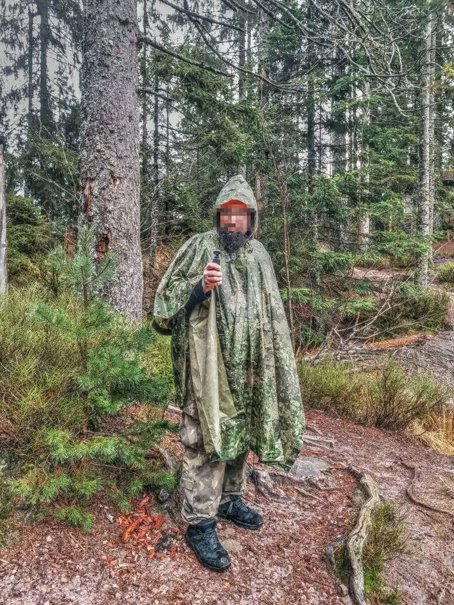 Ruhestein, Schwarzwald
