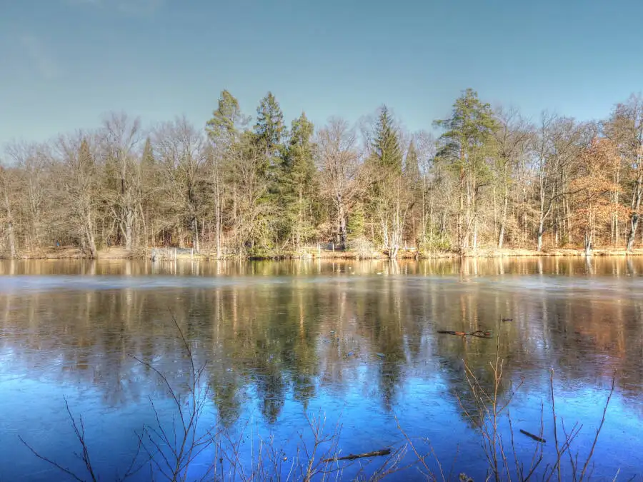 Der Bärensee bei Stuttgart