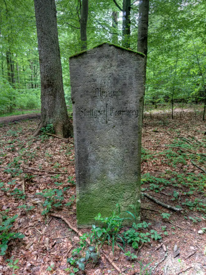 Ein Waldweg