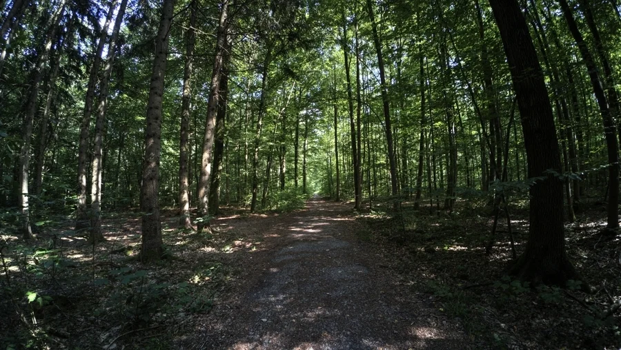 Gebersheim, Leonberg