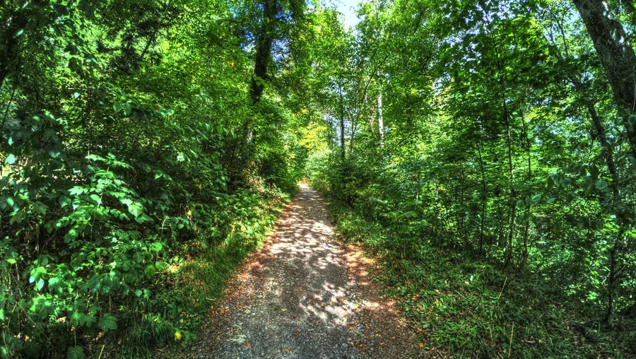 Nagold in Baden-Württemberg