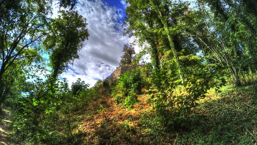 Nagold in Baden-Württemberg