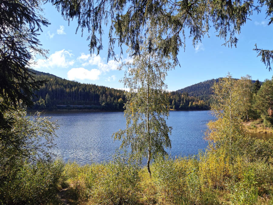 Ein See im Schwarzwald