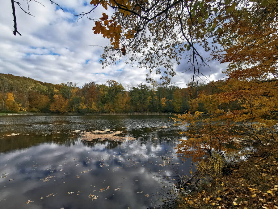 Katzenbacher See, Stuttgart