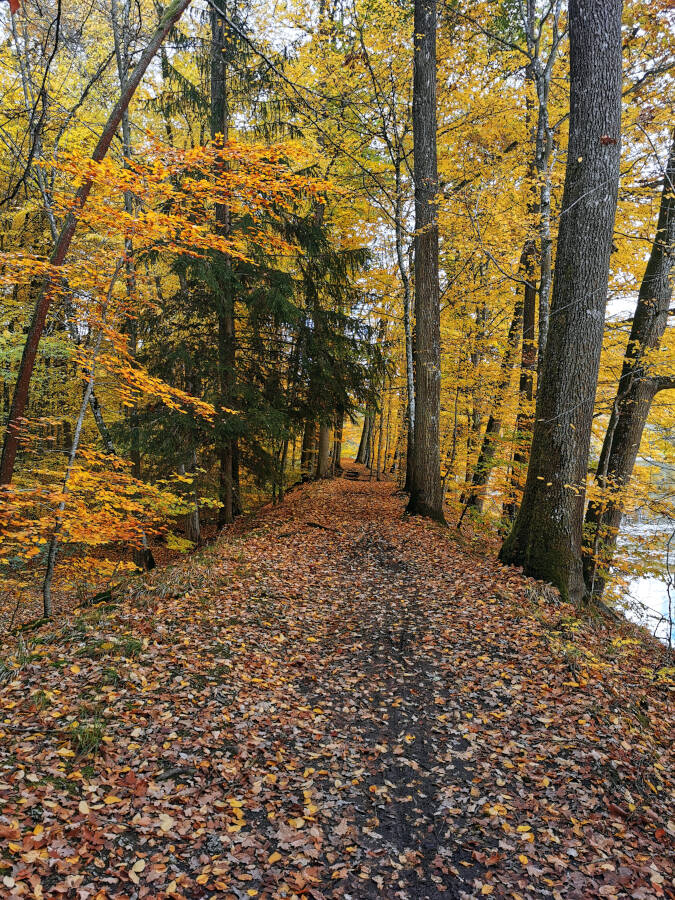 Katzenbacher See, Stuttgart