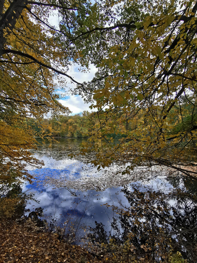Katzenbacher See, Stuttgart