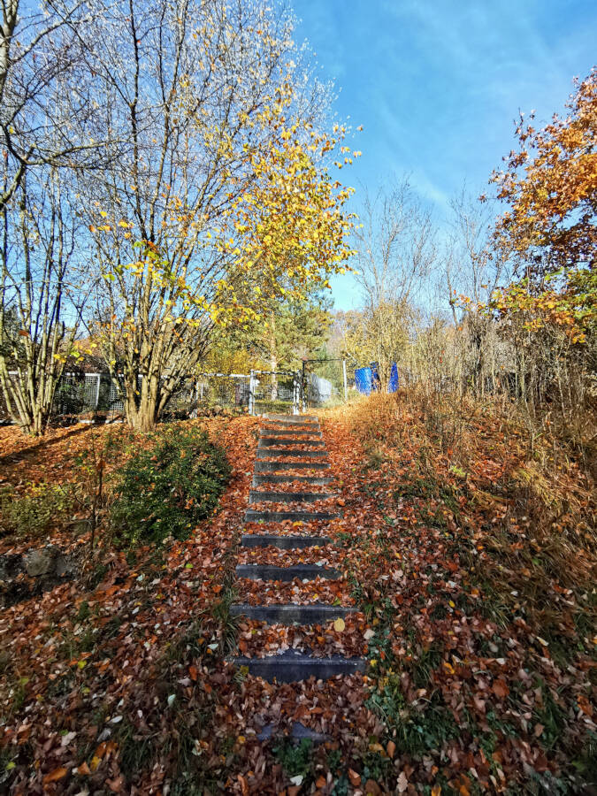 Waldspaziergang in Leonberg