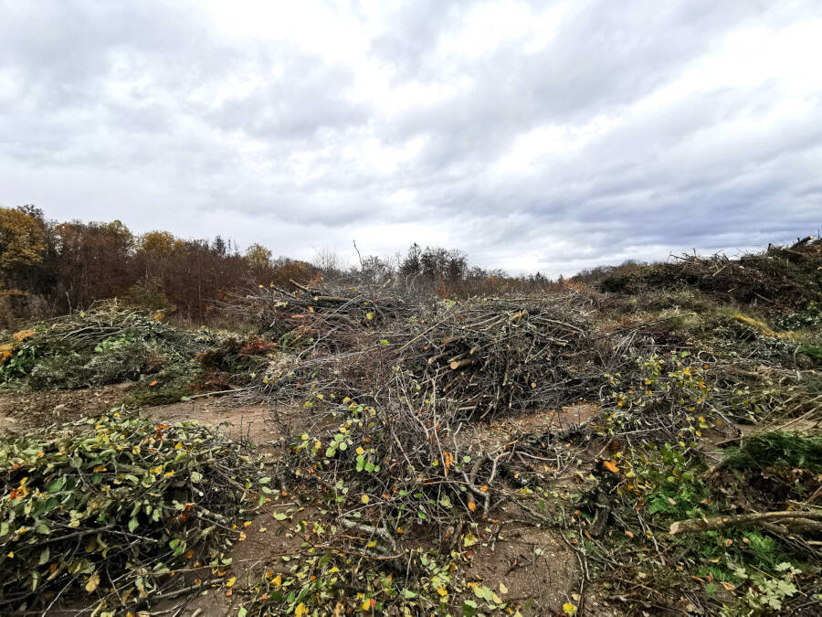 Häckselplatz in Leonberg