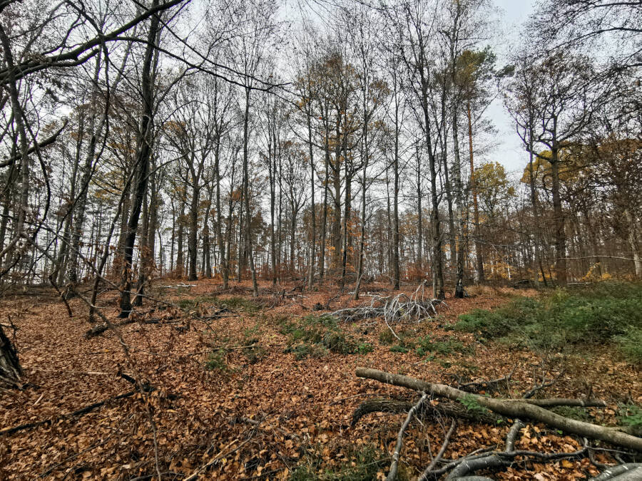 Krummbachtal, Gerlingen