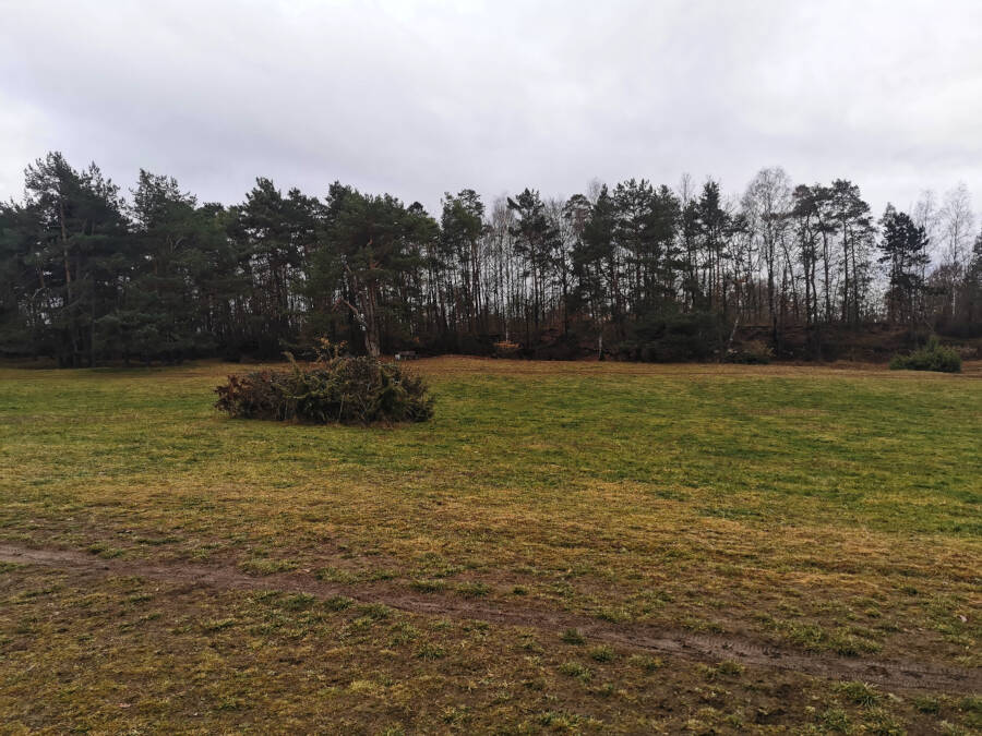 gerlinger Heide