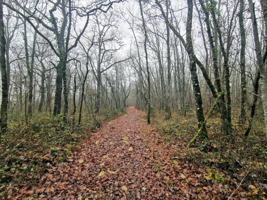 Neujahrsspaziergang in Thenon, Frankreich