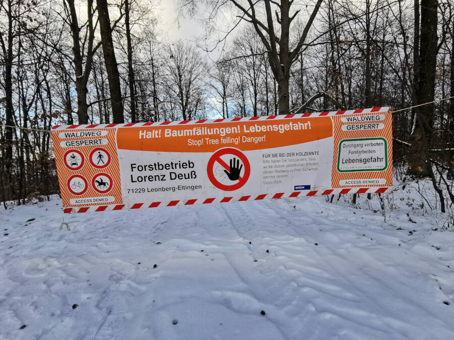 Forstarbeiten im Wald