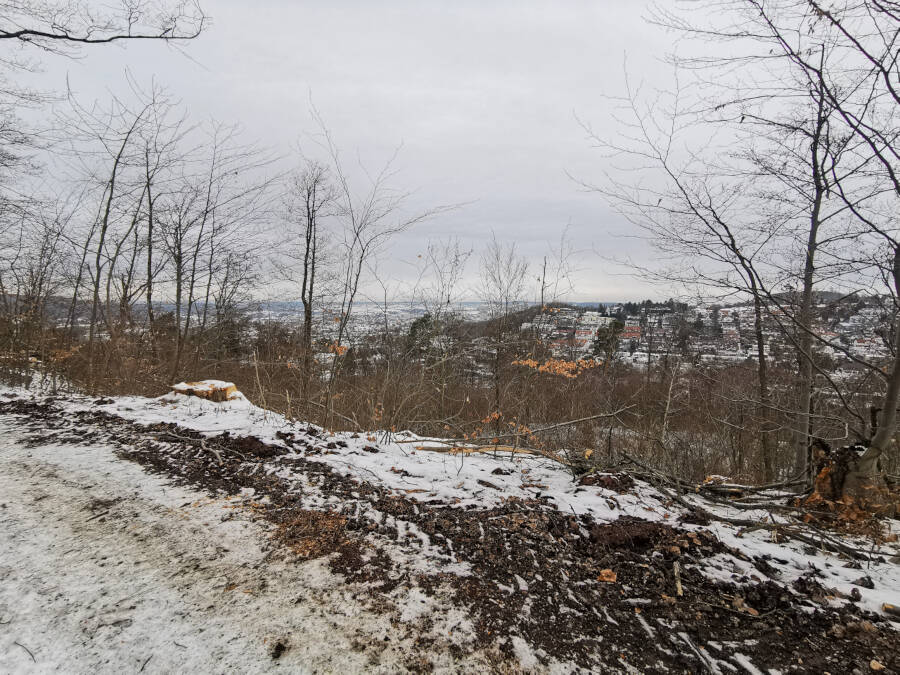 Forstarbeiten im Wald