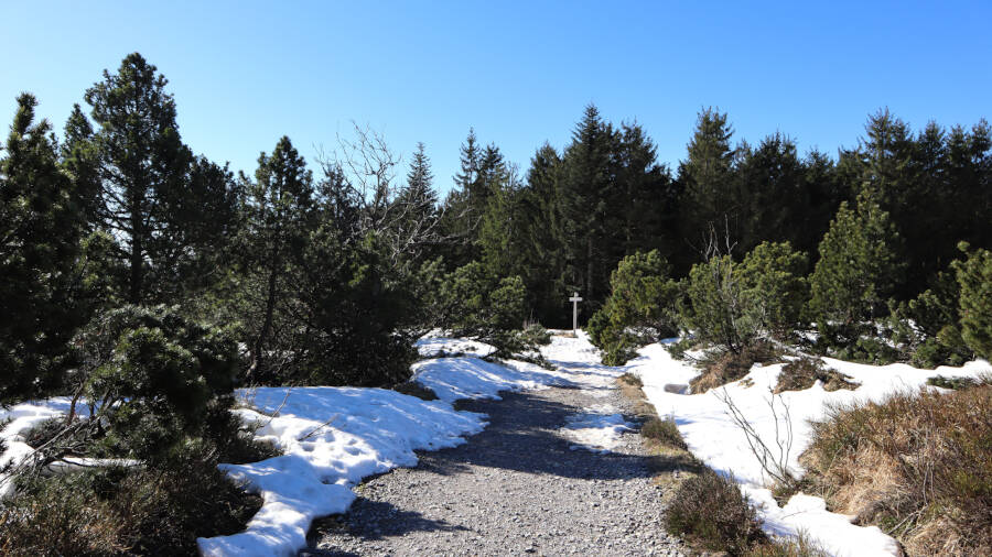 Ruhestein im Schwarzwald