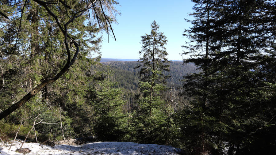 Ruhestein im Schwarzwald