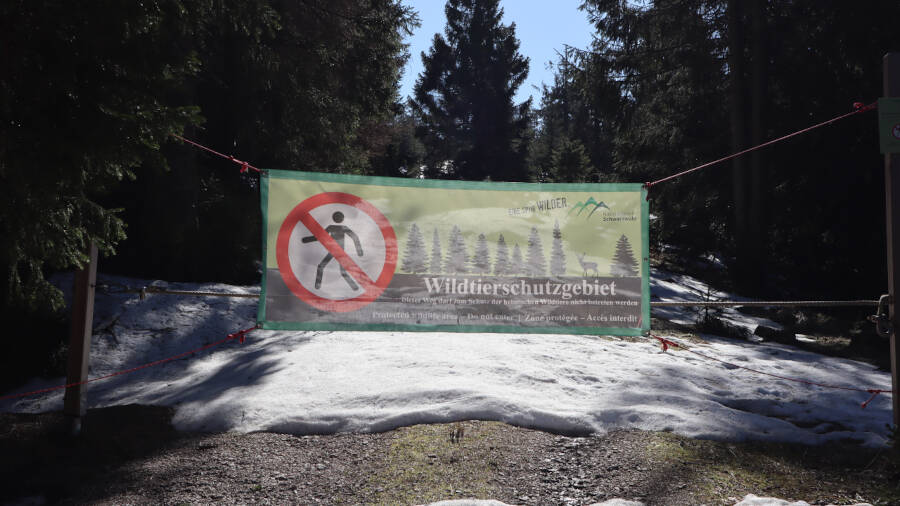 Ruhestein im Schwarzwald