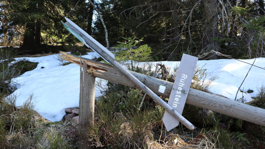 Ruhestein im Schwarzwald