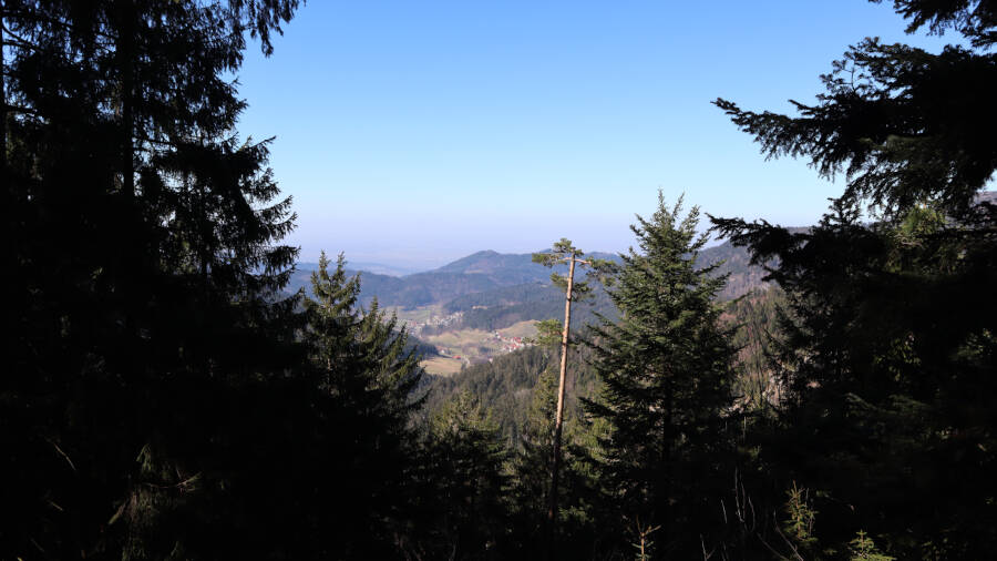 Ruhestein im Schwarzwald