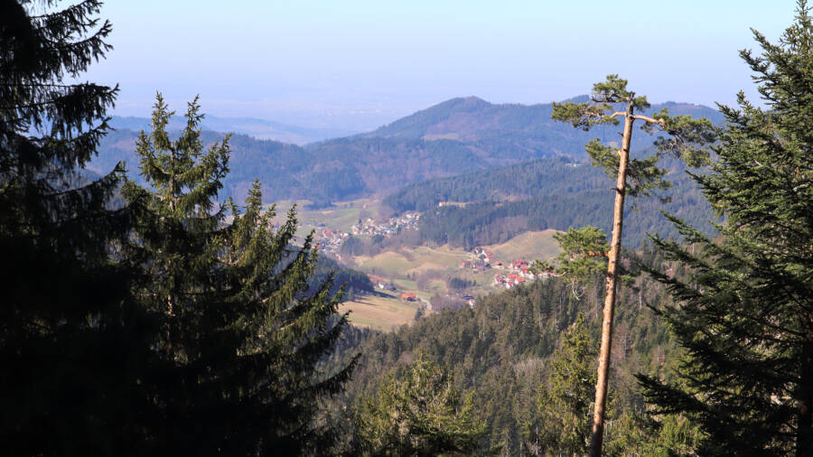 Ruhestein im Schwarzwald