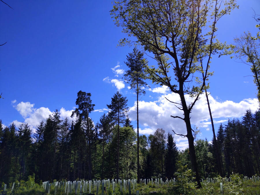 Schießbahnweg bei Stuttgart-Vaihingen