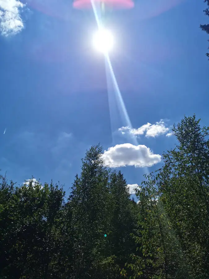 Wildpark im Schönbuch