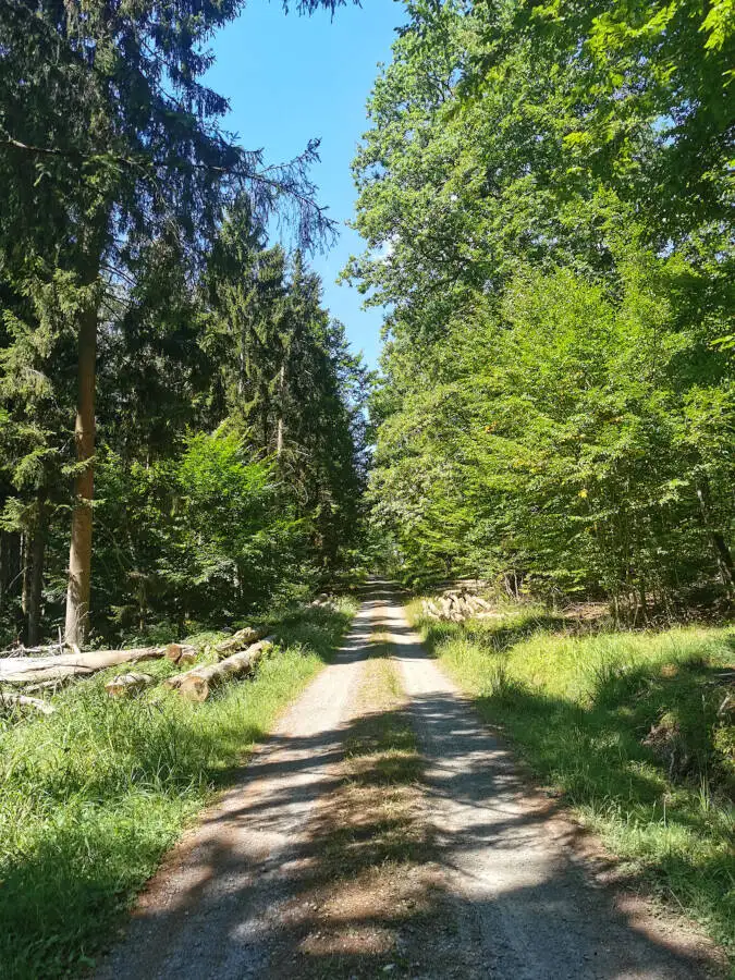 Wildpark im Schönbuch