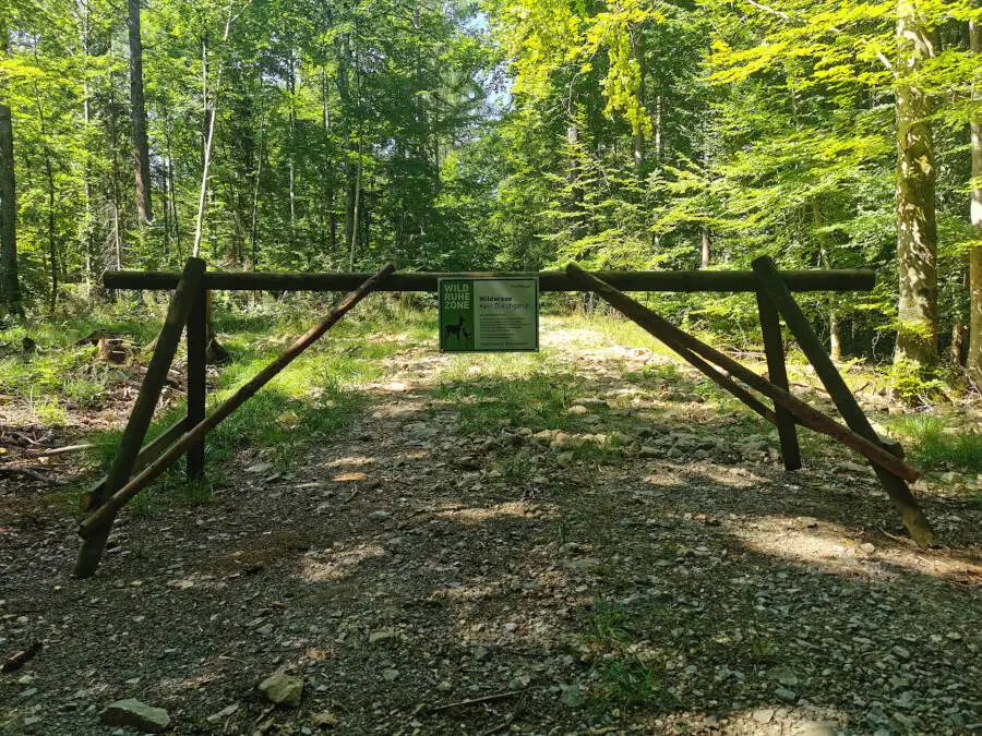 Wildpark im Schönbuch