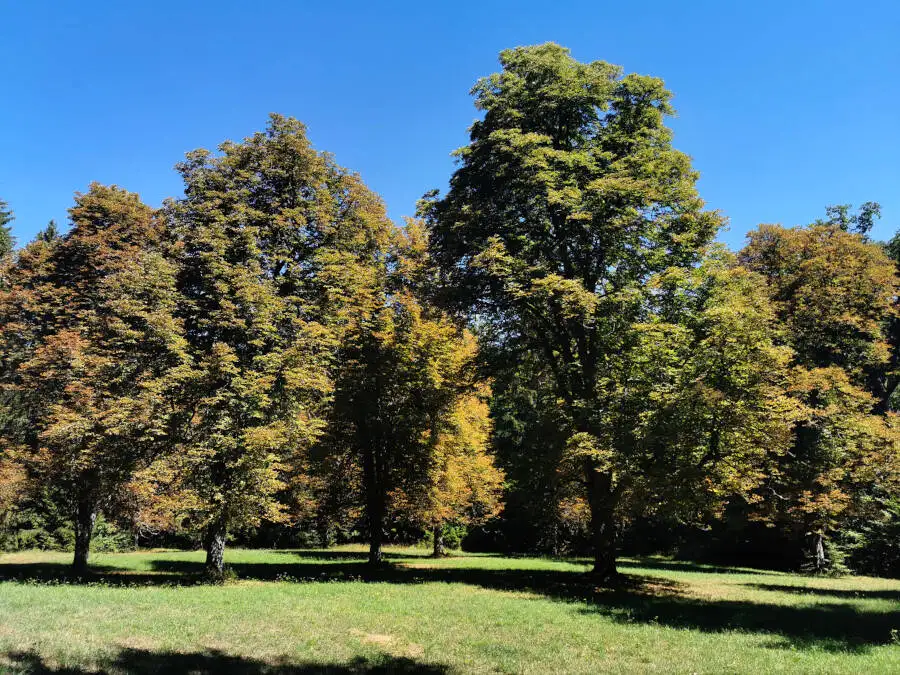 Wildpark im Schönbuch