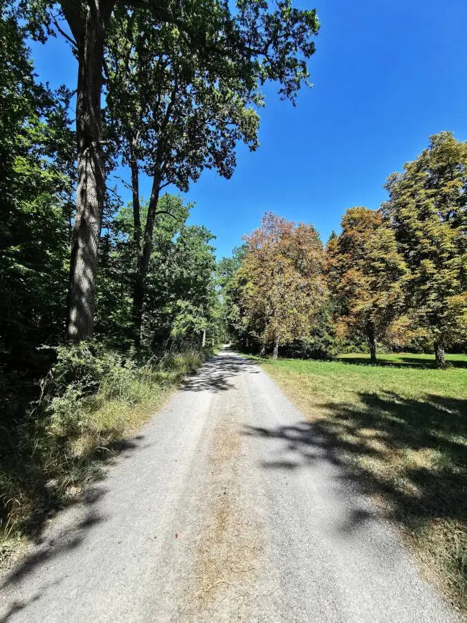 Wildpark im Schönbuch