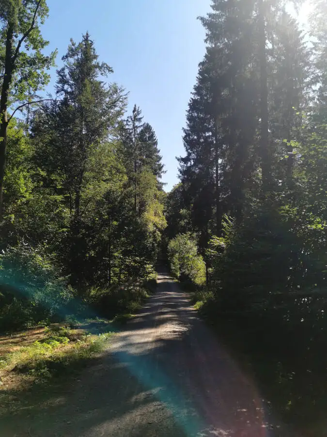 Wildpark im Schönbuch