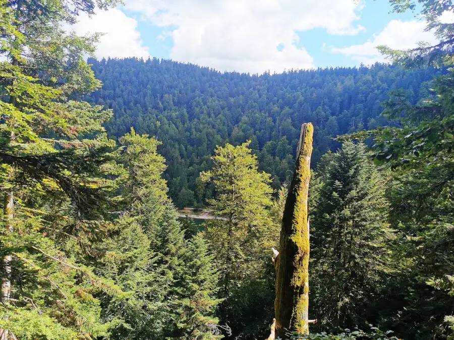 Rabensee in den Vogesen