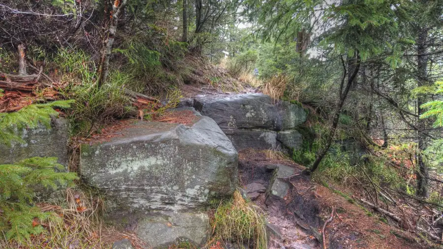 Ruhestein, Schwarzwald