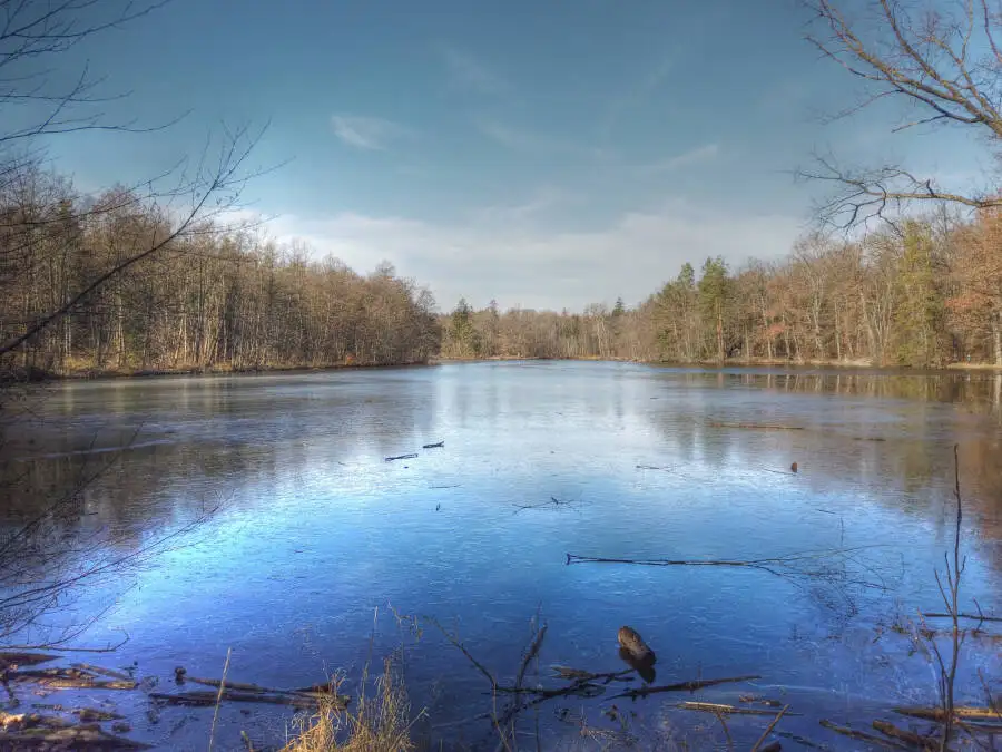 Der Bärensee bei Stuttgart